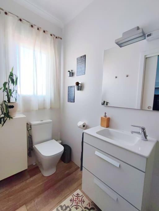 Bright And Quiet Studio In 马拉加 外观 照片